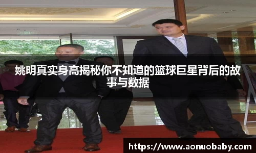 姚明真实身高揭秘你不知道的篮球巨星背后的故事与数据